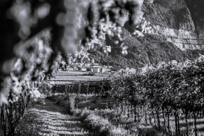 Cantina Roveré Della Luna