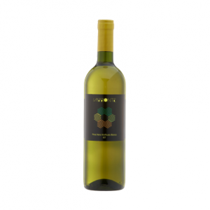 Francesco Montagna Pinot Nero vinificato in bianco frizzante Impronte