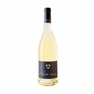 Longo Il Vascello Falanghina IGP