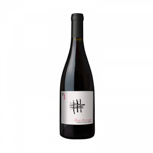 GABBIANO VALTELLINA SUP SENTENZA DOCG 075