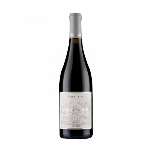 Terra dei Re Vulcano 800 Pinot Nero